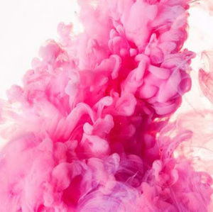 Meet your Posher, Jillian